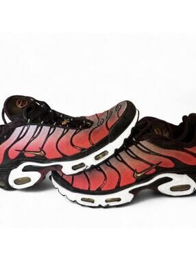 Nike Air Max Plus TN “Sisterhood” Gradient Sneakers size 9